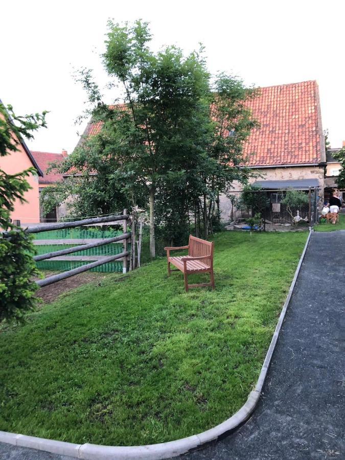 Ferienwohnung Gans Auguste Dohna Buitenkant foto