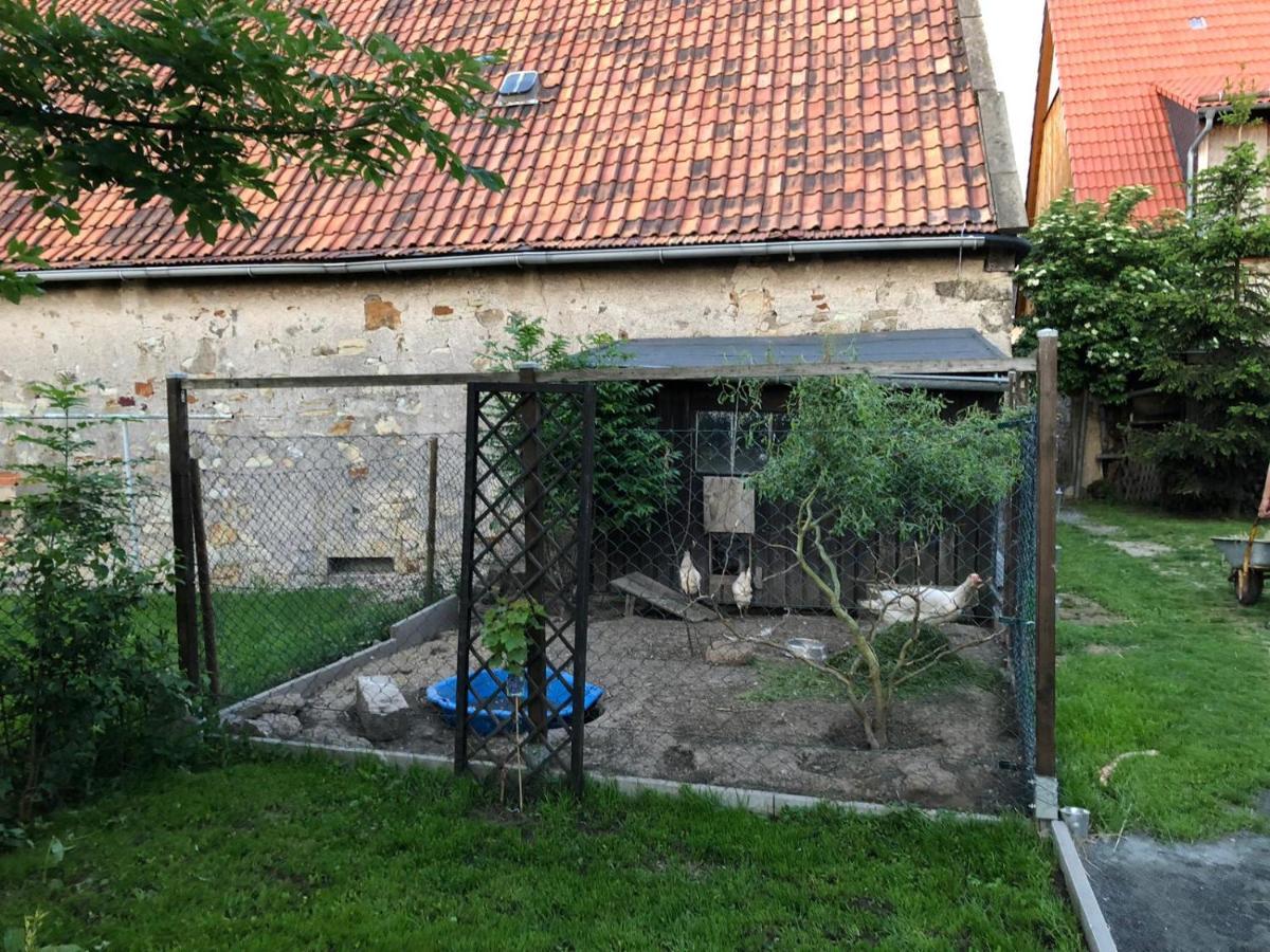 Ferienwohnung Gans Auguste Dohna Buitenkant foto